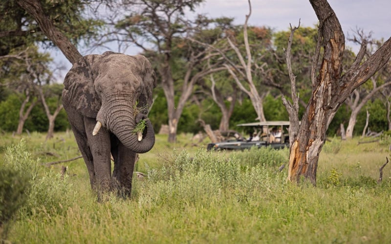 10 Day Victoria Falls, Okavango Delta & Kalahari Journey